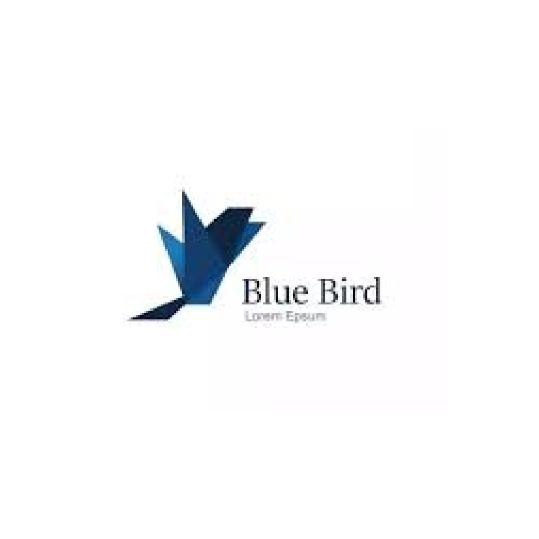 Blue Bird New Capital