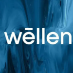 Wellen-Mall-New-Cairo-