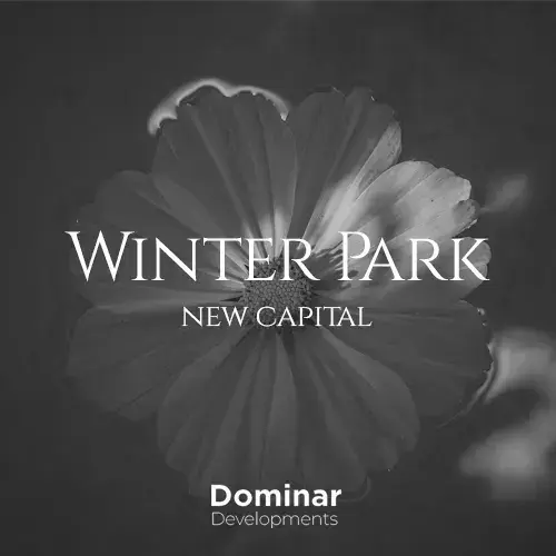 dominar development project