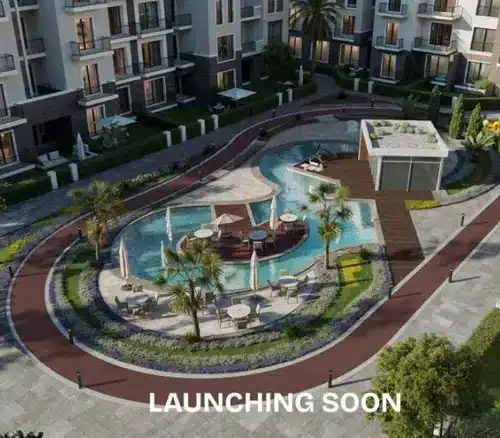 genista new zayed photo