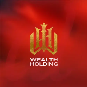 wealth holding development