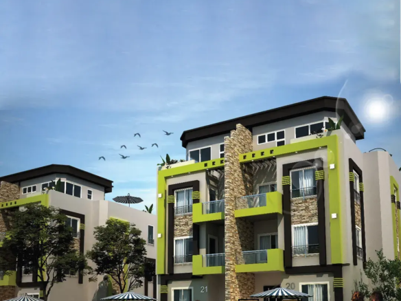 cecilia elite north coast design