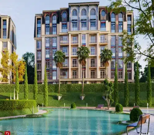 reedy city new cairo photo