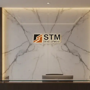 stm development