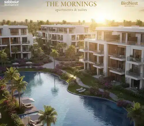 the morning