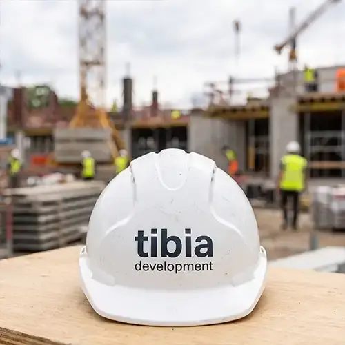 Tibia development mission (1)