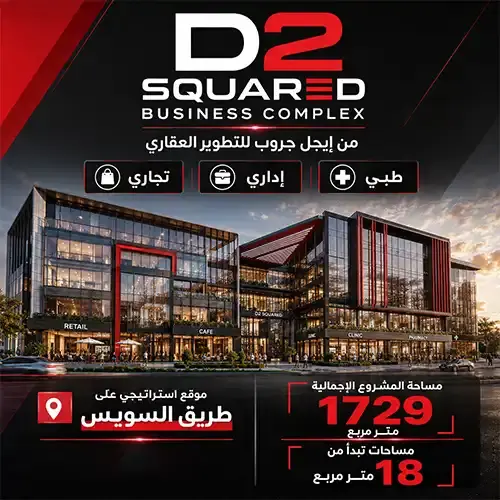 d2 squared business complex project