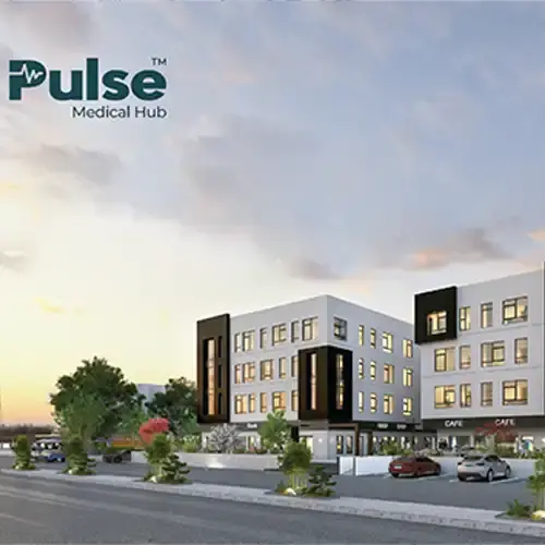 pulse mall project