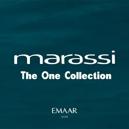 the one collection photo